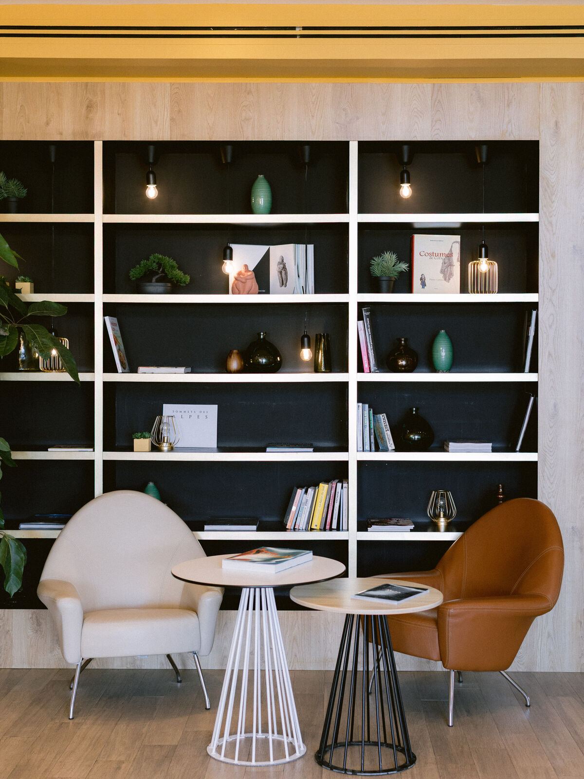 Salon bibliothèque